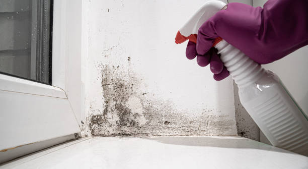 Water damage restoration insurance claims in Lincoln, IL